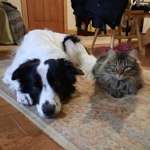 Fundraising Page: Maureen Grady